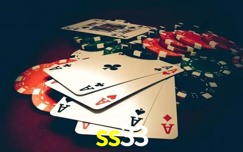 ss33 visual 2